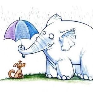 Meet your Posher, Ginger